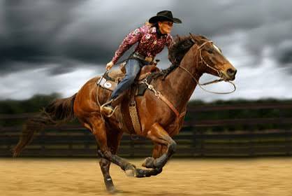 SHOP JUMP SADDLE 